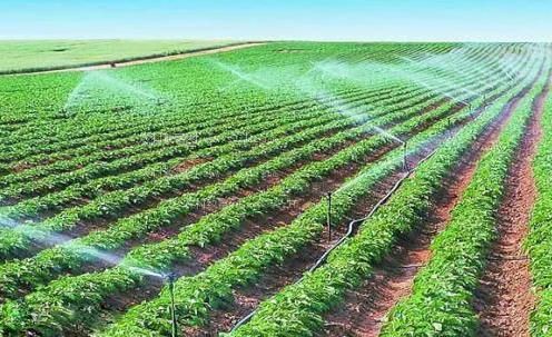 俄罗斯大骚屄农田高 效节水灌溉